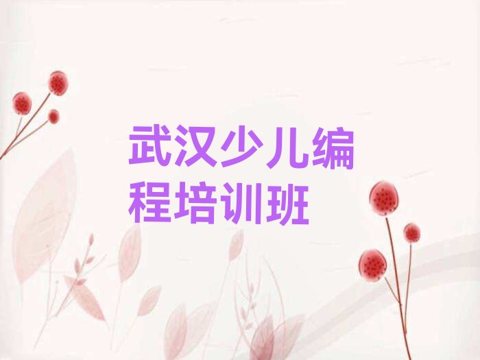 武汉少儿编程培训班