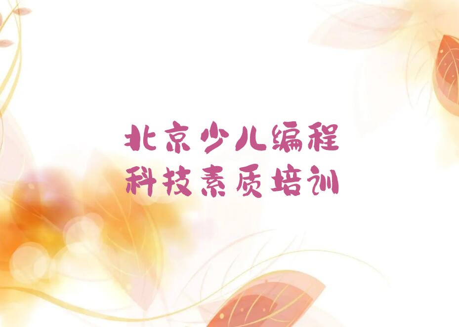 北京顺义区胜利街道少儿编程科技素质培训学校