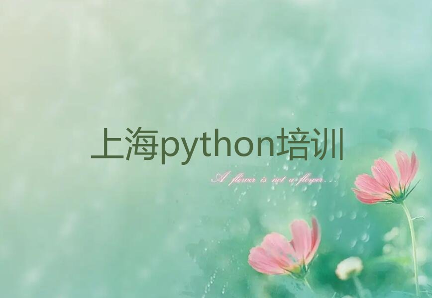 上海少儿编程培训中心