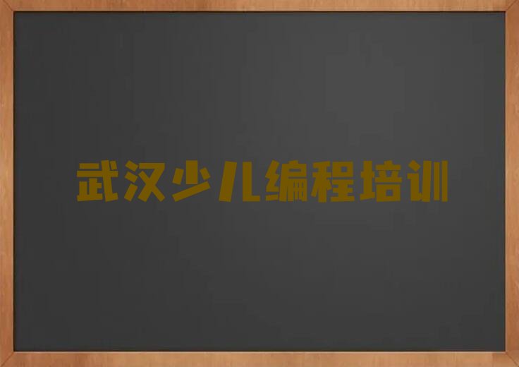 十大武汉新洲区孩子编程培训班晚班排行榜
