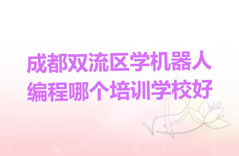 成都双流区煎茶镇少儿编程培训学校