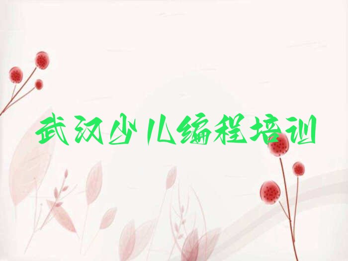 十大武汉青山区小儿编程培训班学什么榜单新排名一览推荐排行榜