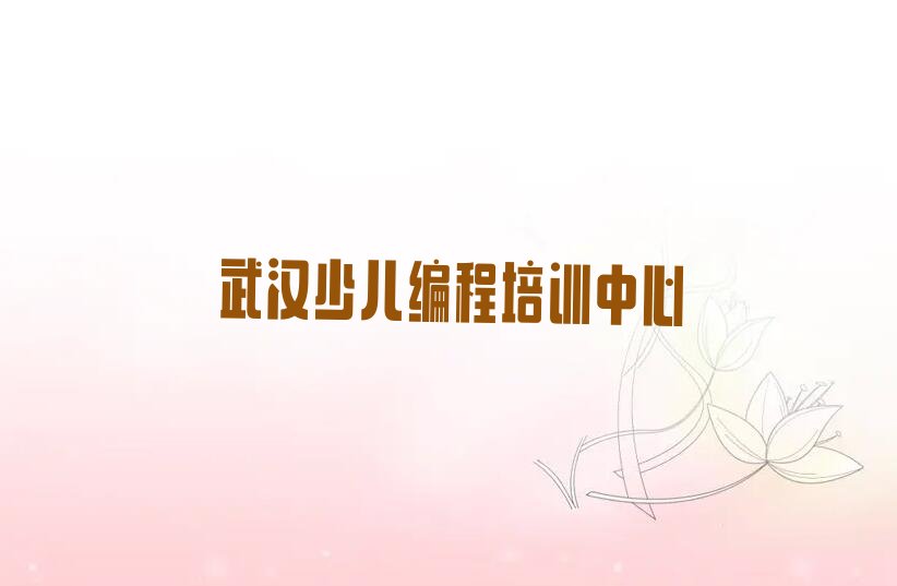 武汉少儿编程培训中心