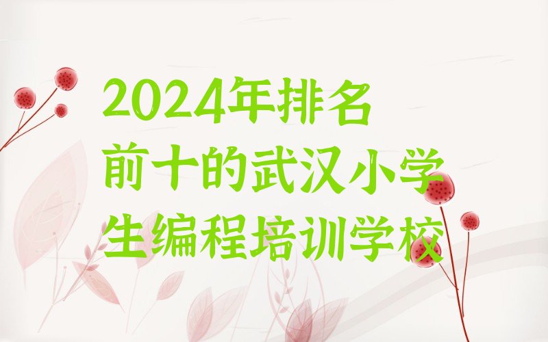 十大2024年排名前十的武汉小学生编程培训学校排行榜