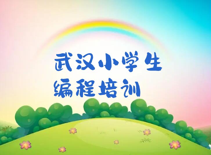 武汉少儿编程培训学校