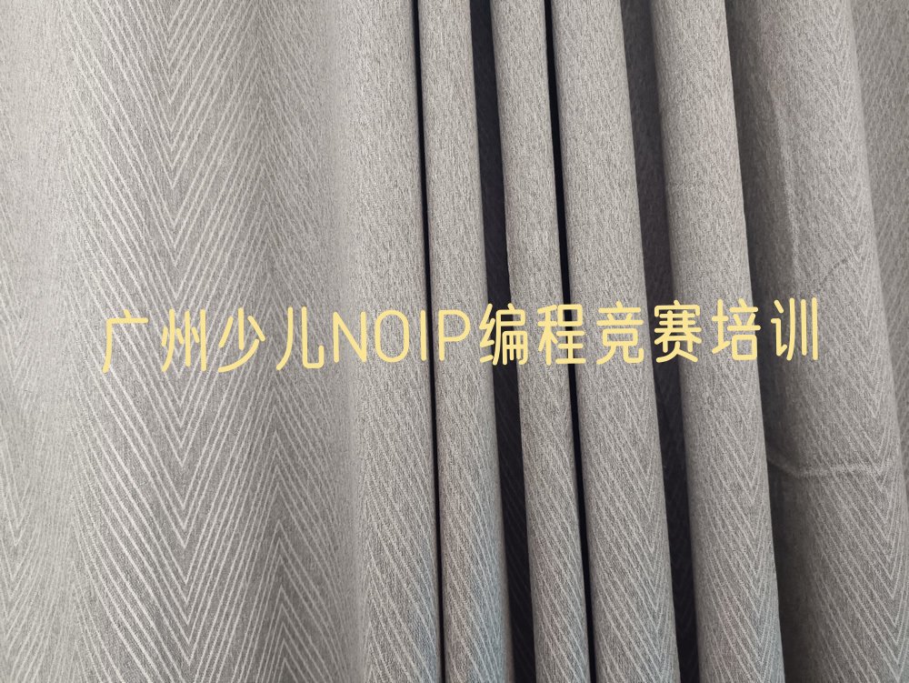 广州少儿NOIP编程竞赛培训学校