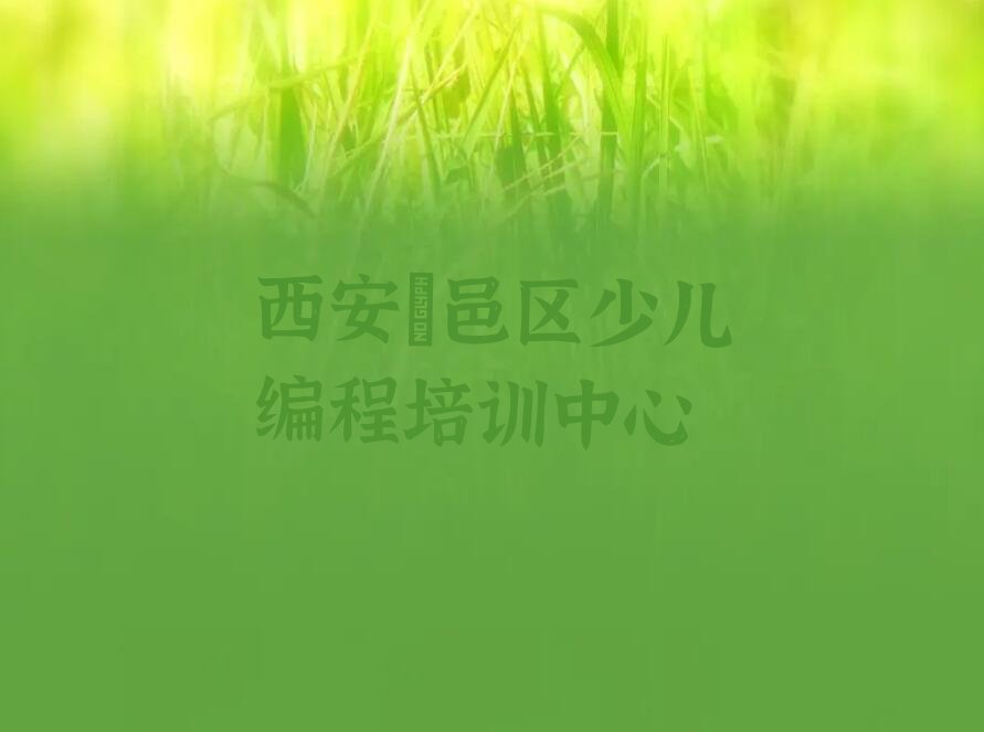 西安鄠邑区少儿编程培训中心