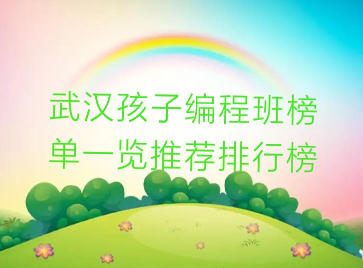 十大武汉孩子编程班榜单一览推荐排行榜排行榜
