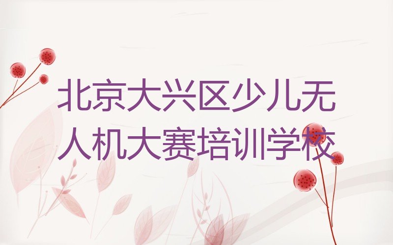 北京大兴区少儿无人机大赛培训学校