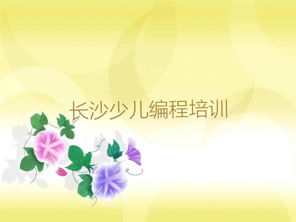 长沙少儿编程培训班