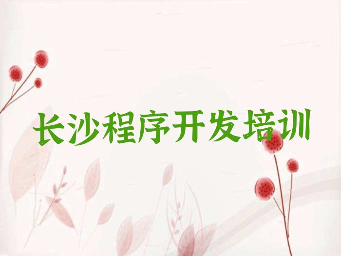 长沙开福区洪山街道中学生Python编程培训学校