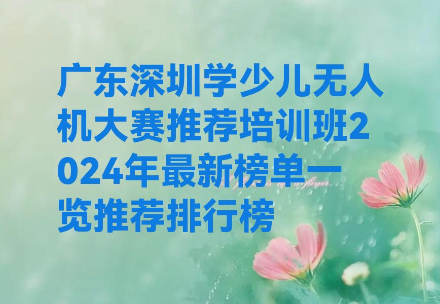 深圳盐田区少儿编程培训中心