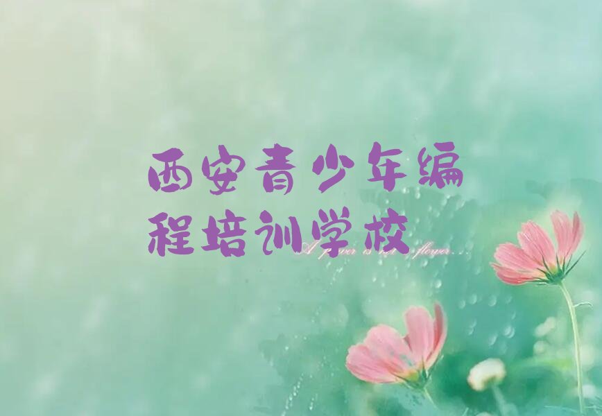 西安青少年编程培训学校