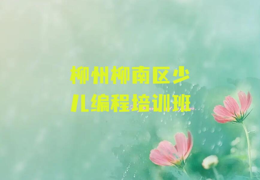 柳州柳南区少儿编程培训班