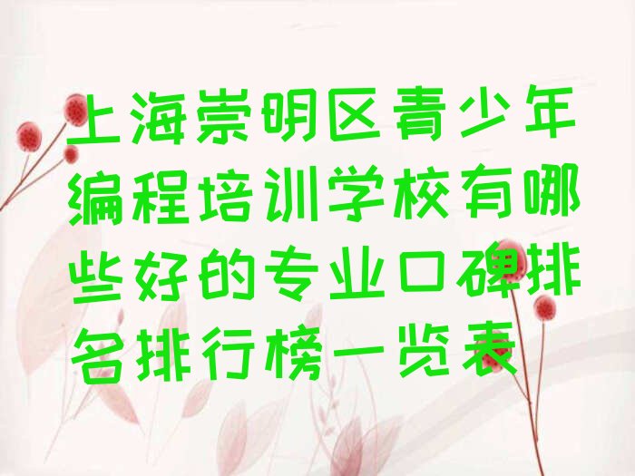 十大上海崇明区青少年编程培训学校有哪些好的专业口碑排名排行榜一览表排行榜