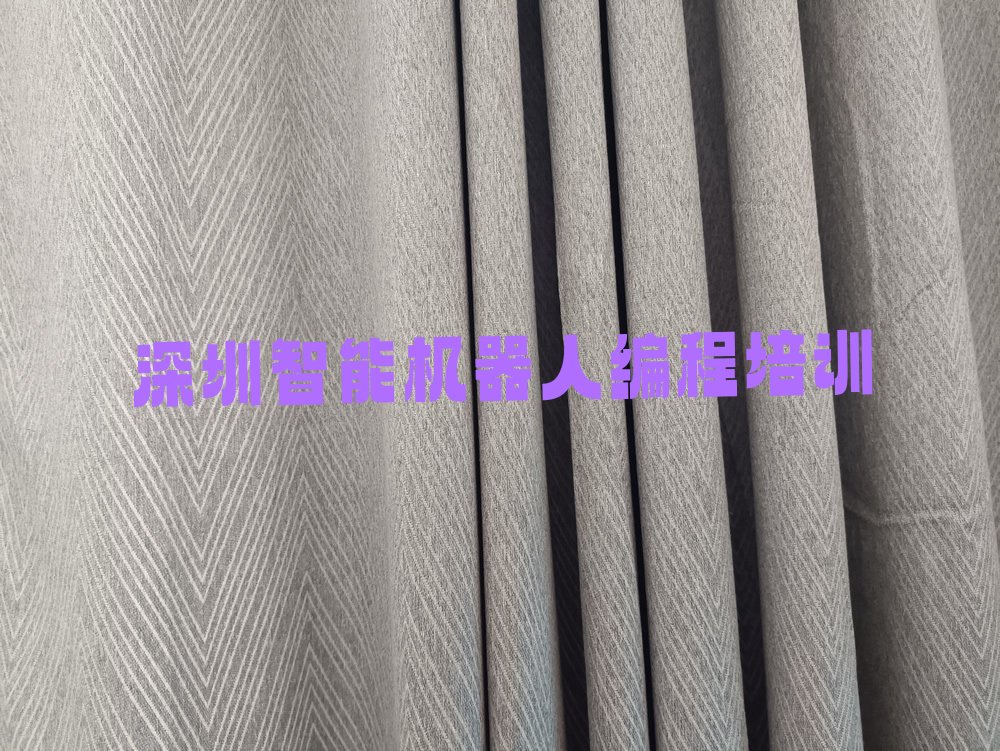 深圳龙岗区少儿编程培训中心