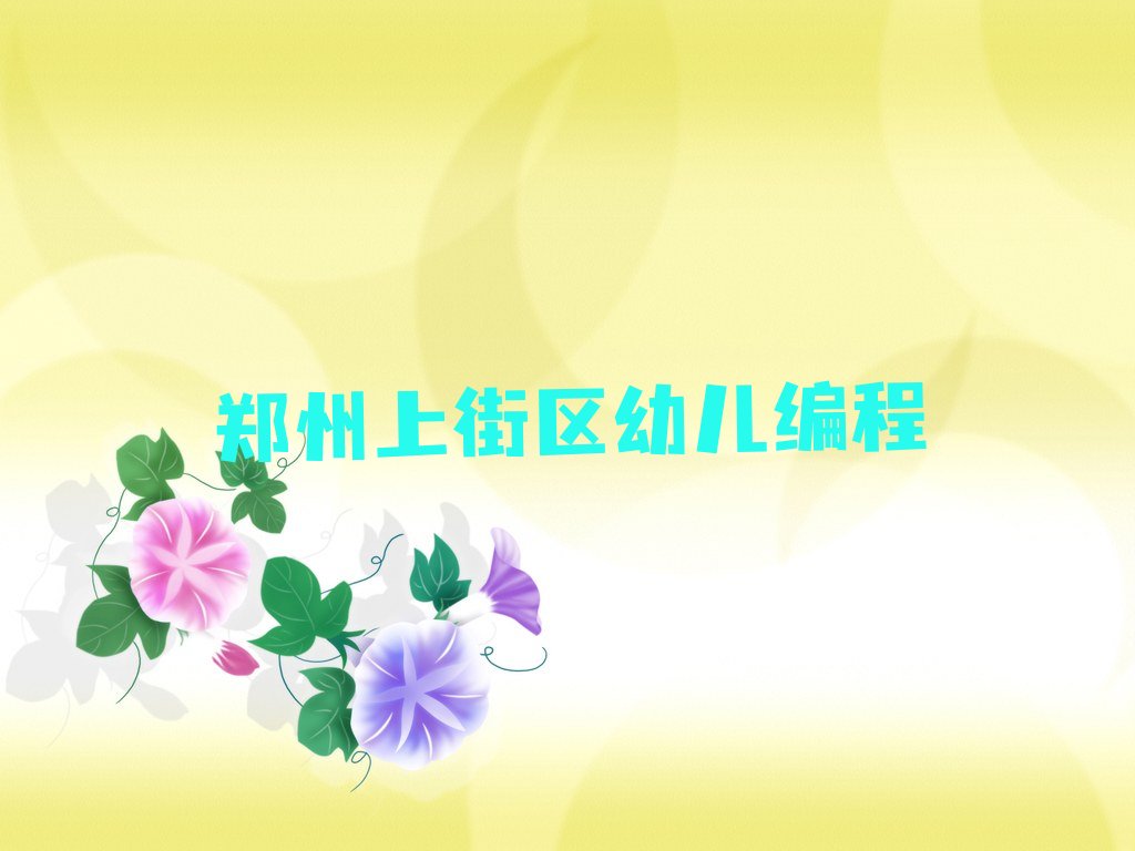 十大郑州上街区幼儿编程排行榜