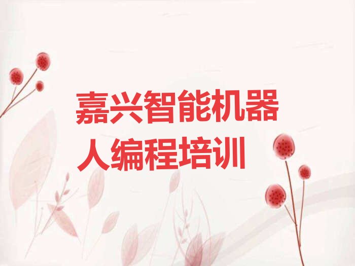 嘉兴南湖区少儿编程培训中心