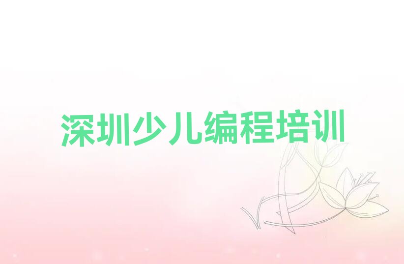 深圳罗湖区少儿编程培训中心