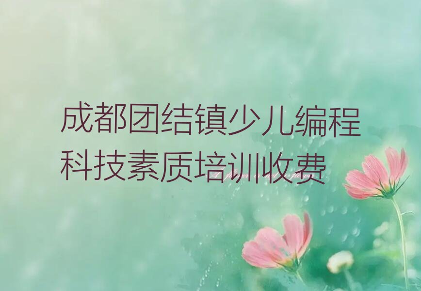 十大成都团结镇少儿编程科技素质培训收费排行榜