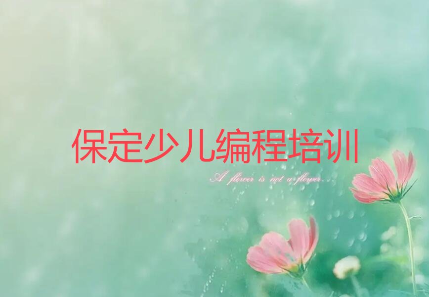 娃娃编程