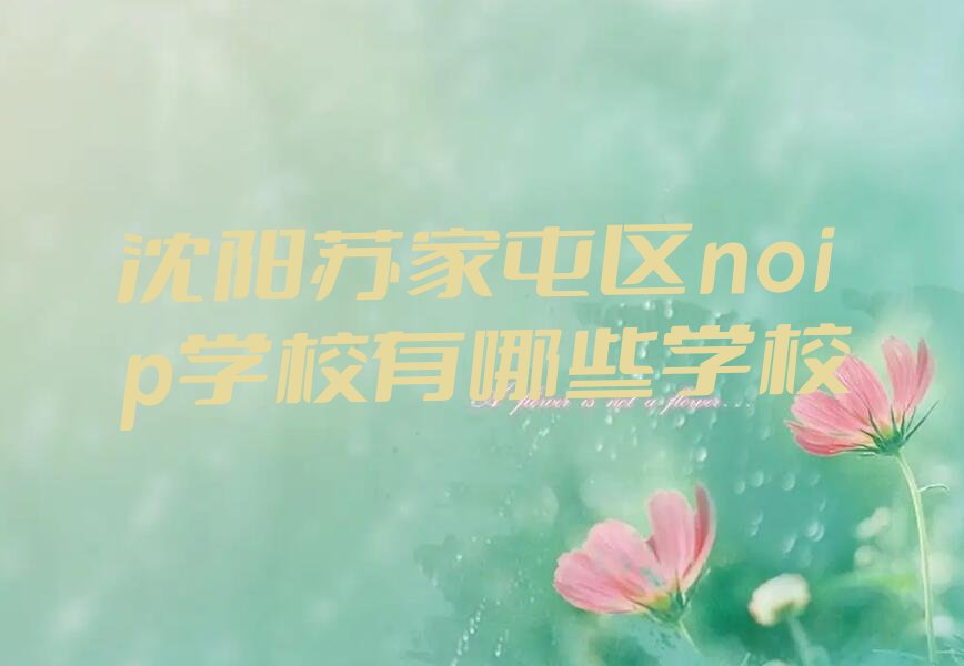 沈阳noip培训学校