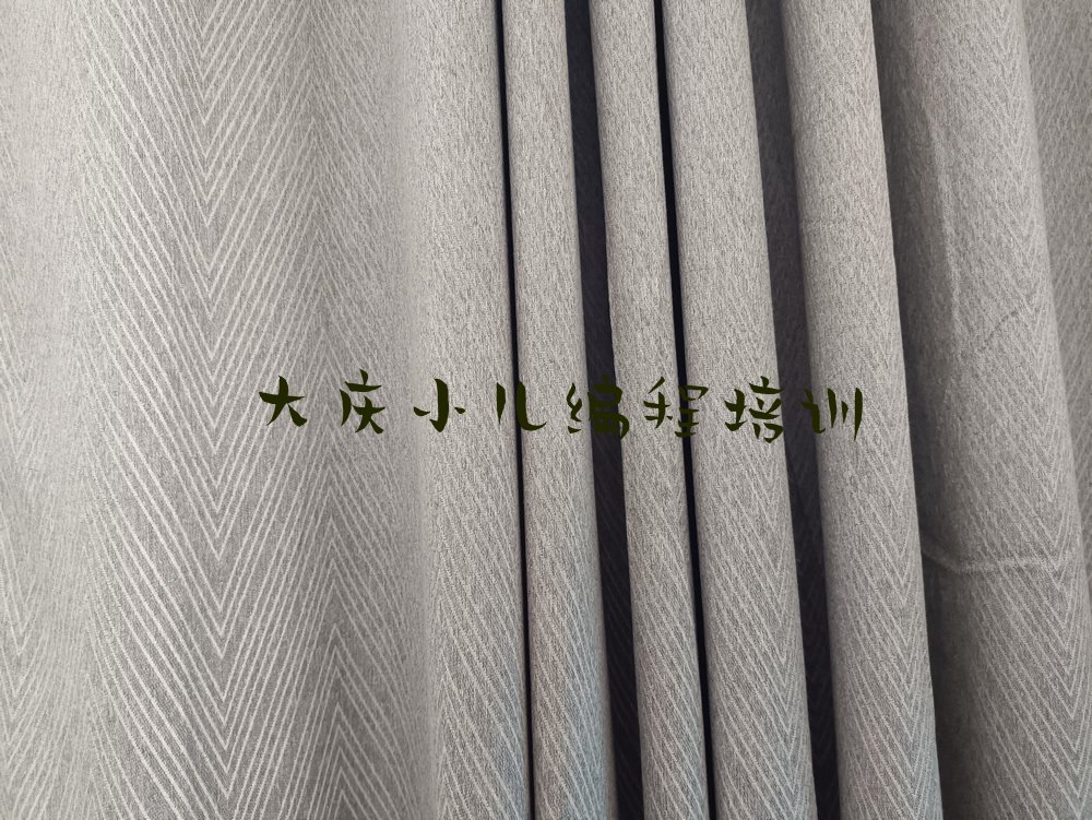 大庆小儿编程培训学校