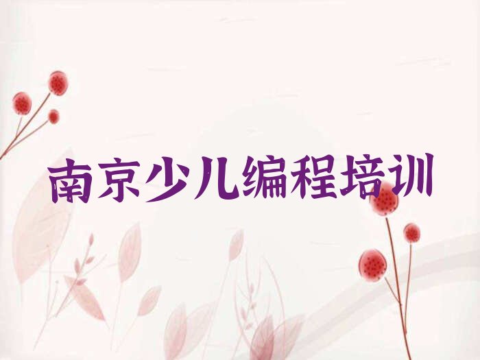 南京雨花台区赛虹桥街道NOIP信息学奥赛培训学校