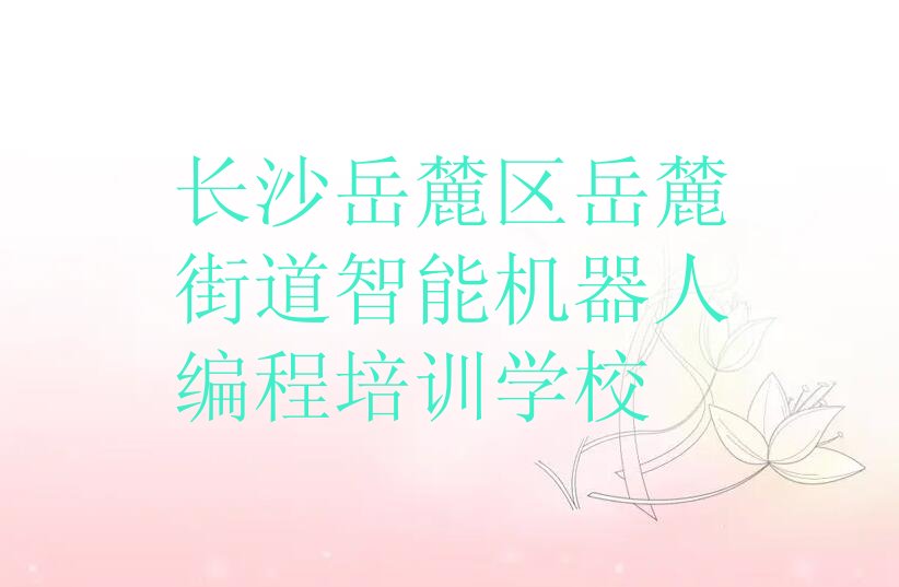 长沙岳麓区岳麓街道智能机器人编程培训学校