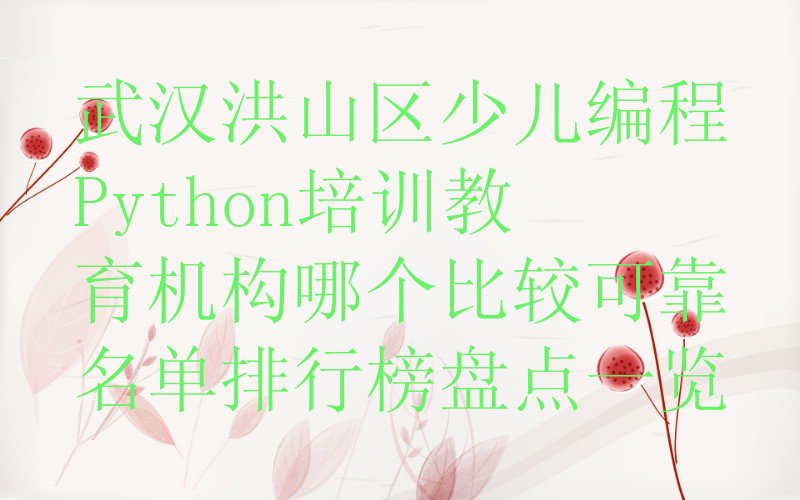 武汉洪山区天兴乡少儿编程培训学校