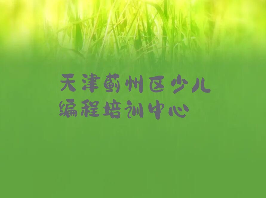 天津蓟州区少儿编程培训中心