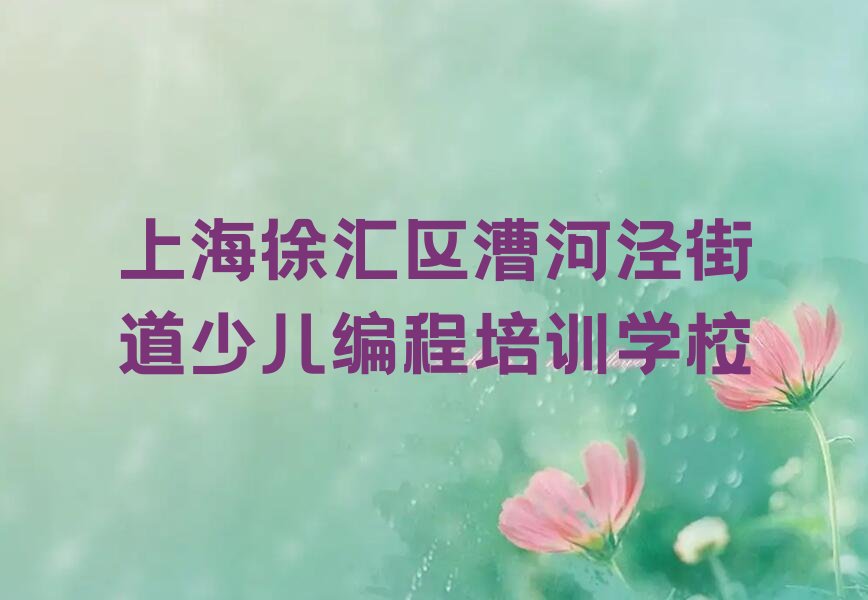 上海徐汇区漕河泾街道少儿编程培训学校