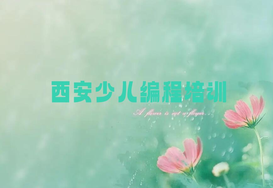 中学生编程