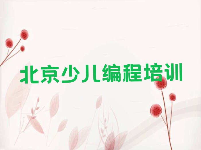 北京少儿编程培训班
