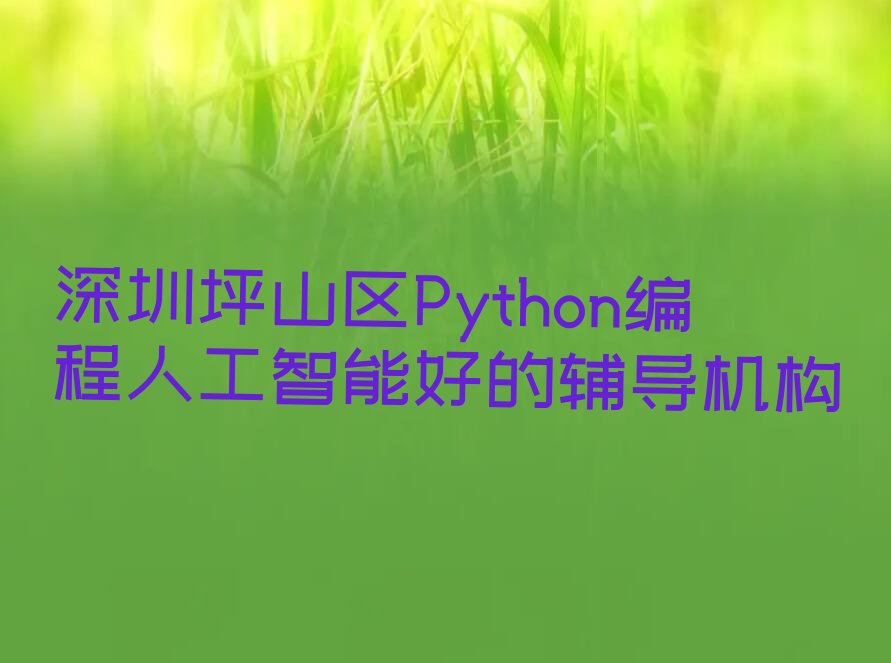 深圳坪山区龙田街道少儿编程培训学校