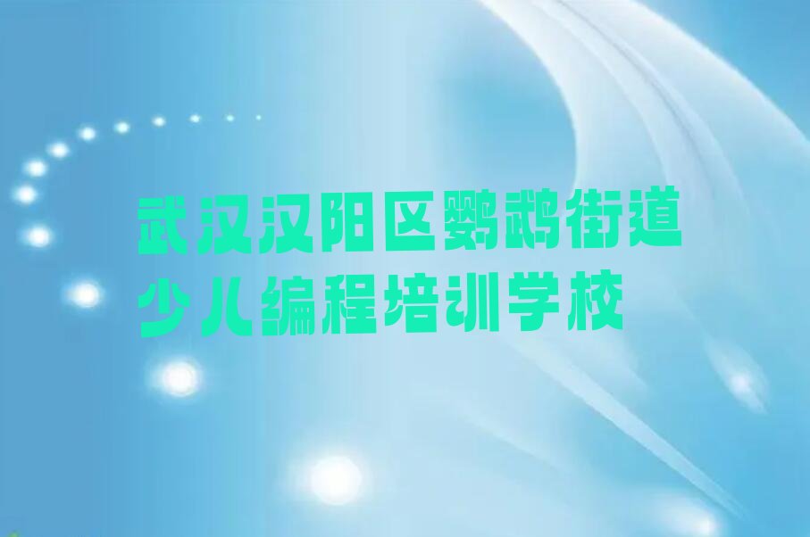 武汉汉阳区鹦鹉街道少儿编程培训学校