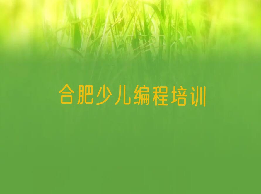 合肥中学生编程培训学校