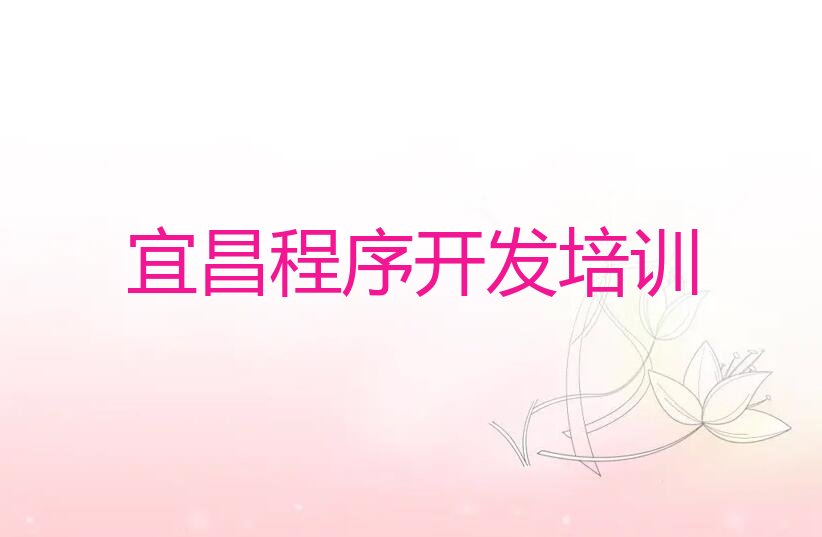 宜昌少儿编程培训班