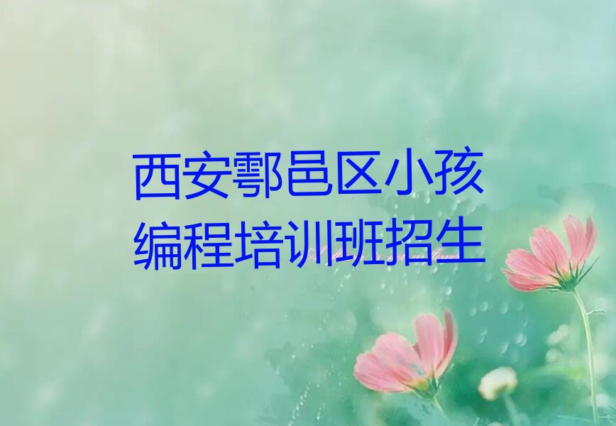 西安鄠邑区少儿编程培训中心