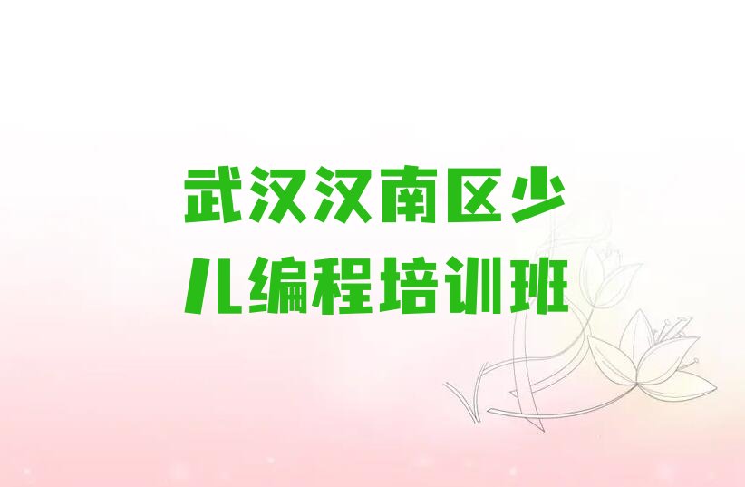武汉汉南区少儿编程培训班