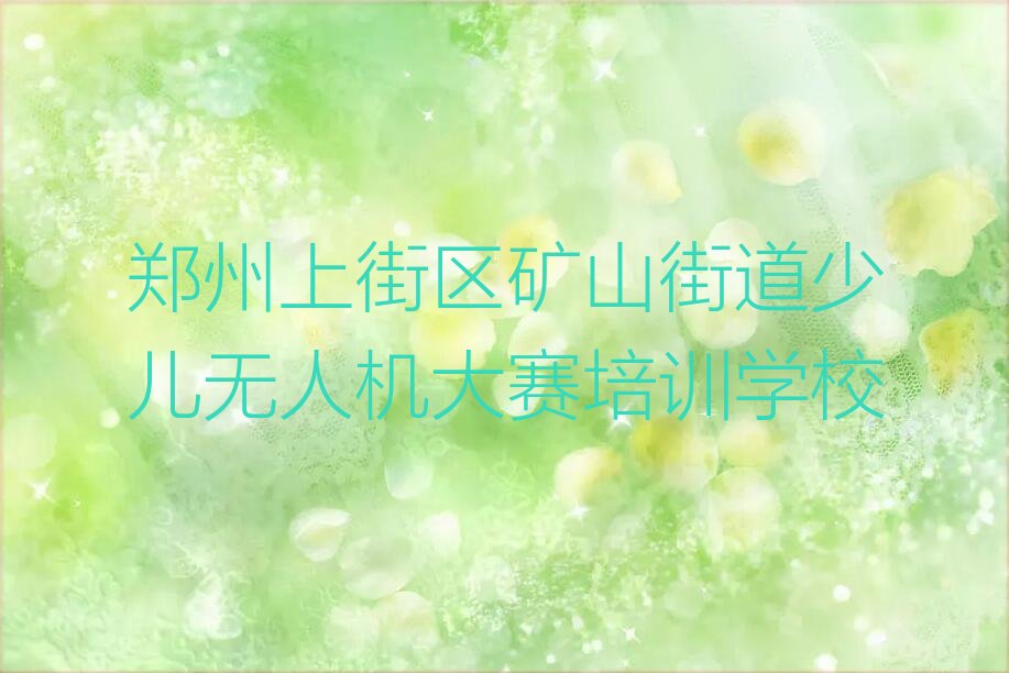 郑州上街区矿山街道少儿无人机大赛培训学校