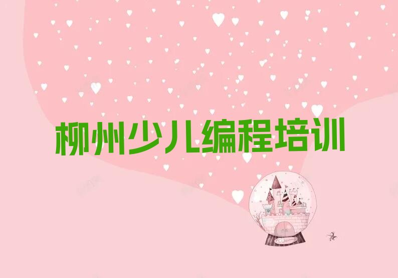 柳州柳江区拉堡镇青少年编程培训学校