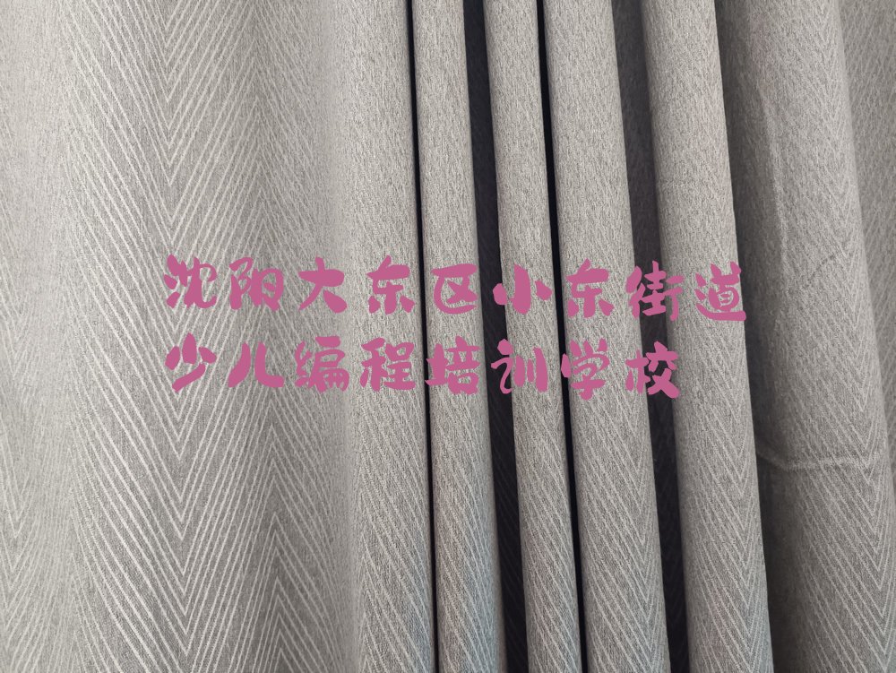 沈阳大东区小东街道少儿编程培训学校