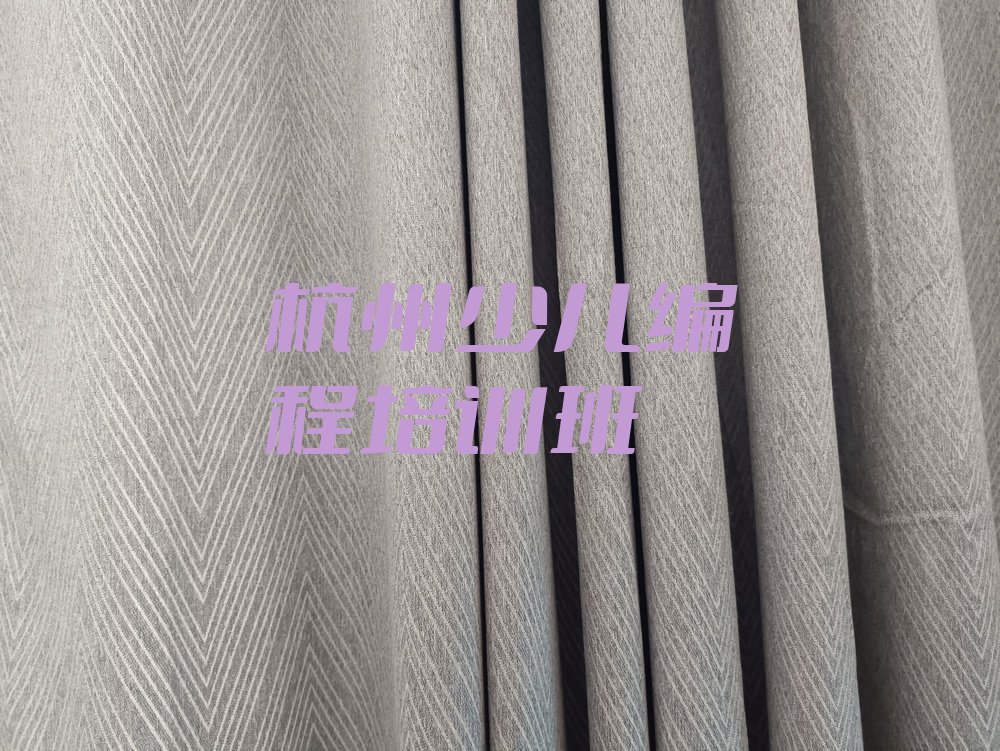 杭州少儿编程培训班