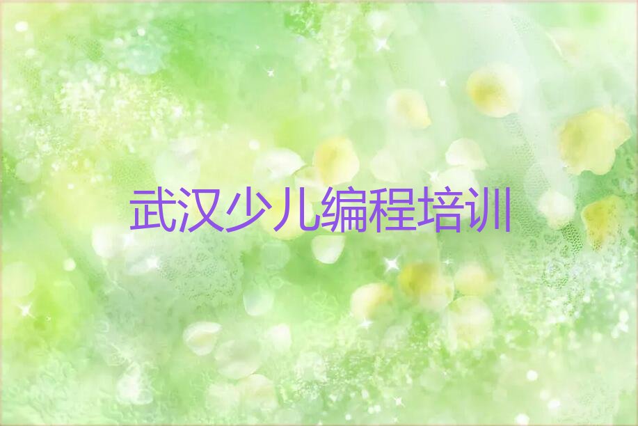 武汉新洲区双柳街道少儿编程科技素质培训学校