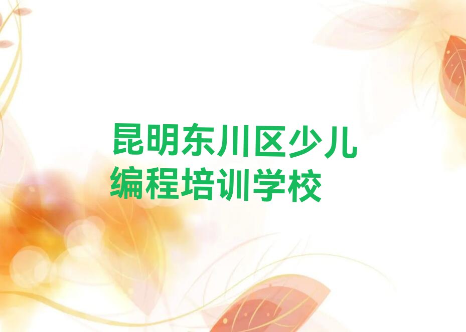 昆明东川区少儿编程培训学校
