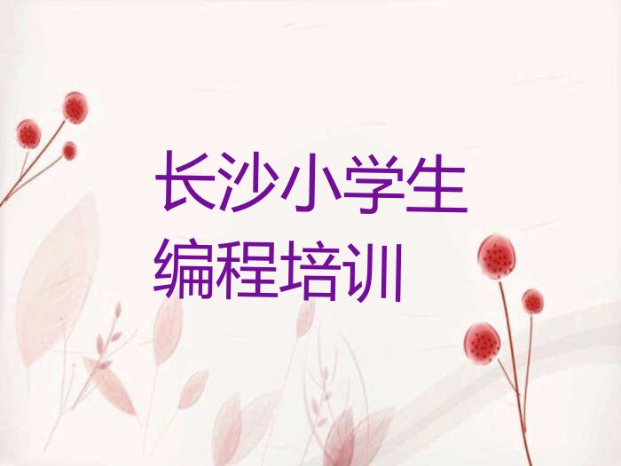 长沙雨花区少儿编程培训学校
