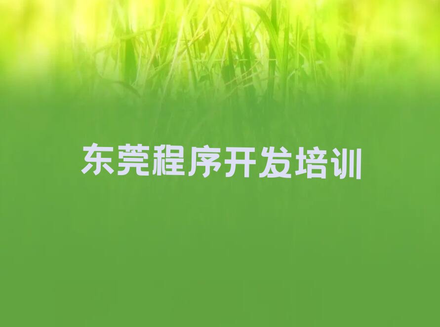 东莞少儿编程培训中心