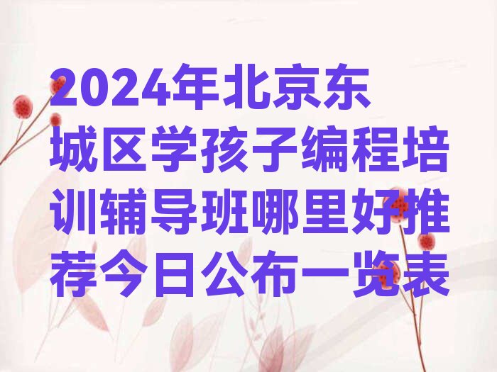 北京东城区建国门街道孩子编程培训学校