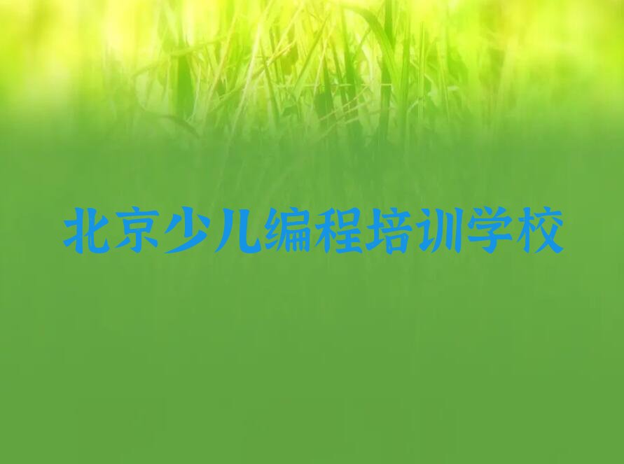 北京少儿编程培训学校